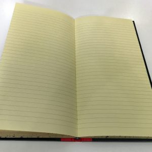 Denbigh D124/120 Faint – Inside pages